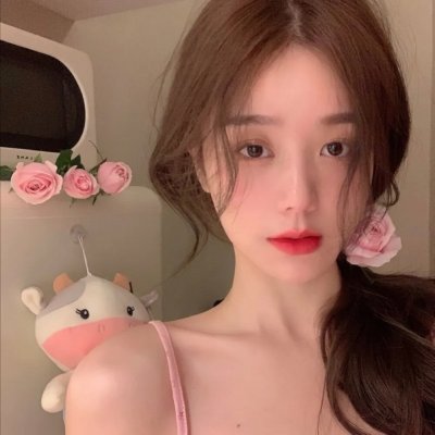 明月守护者 海报