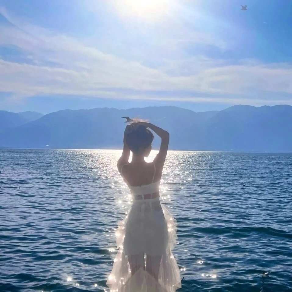 情宿 海报